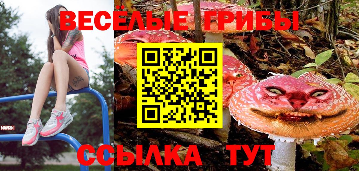Кисловодск  Псилоцибиновые грибы GOLDEN TEACHER  Псилоцибиновые грибы Psilocybine cubensis  Вход с VPN 