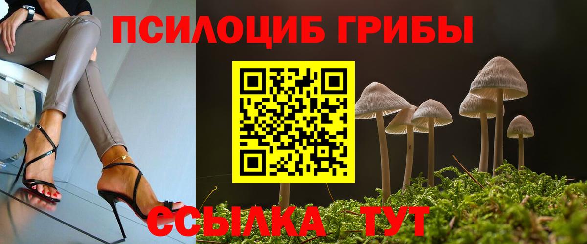 Псилоцибиновые грибы мухоморы Кисловодск